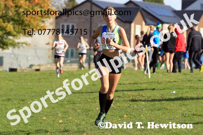 Girls under-15s 2022 Northern Cross Country Relays, Graves Park, Sheffield. Photo: David T. Hewitson/Sports for All Pics